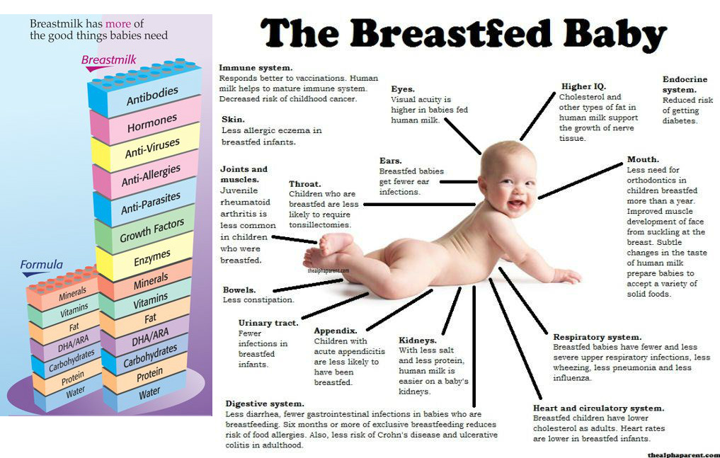 Formula compared store to breast milk